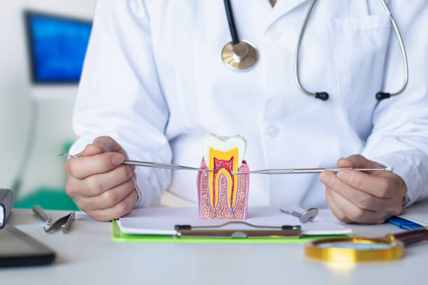 Best Emergency Treatment for Toothache in Kiel, WI